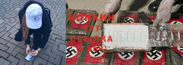 а пвп мука Гусев