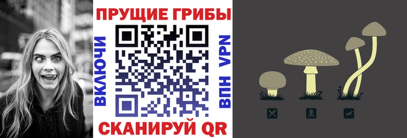 Галлюциногенные грибы мухоморы Купить закладки Обь